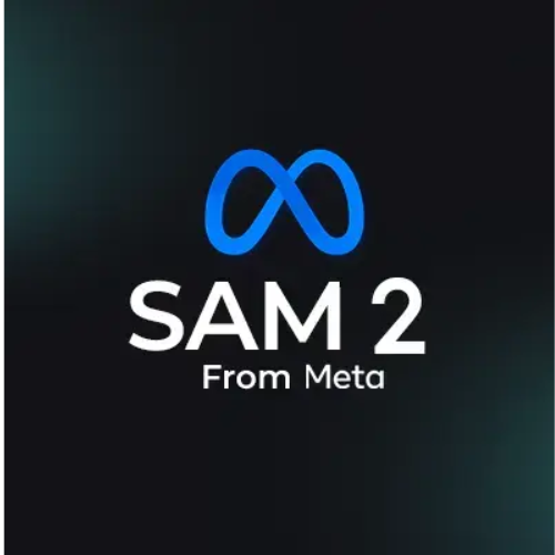 SAM 2 AI